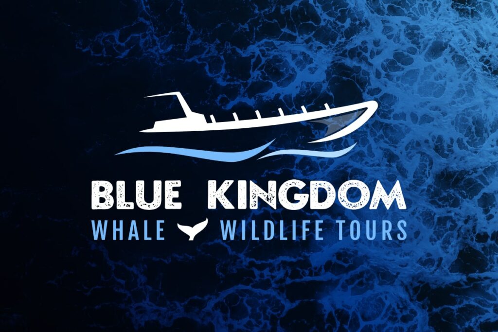 Blue Kingdom Tours