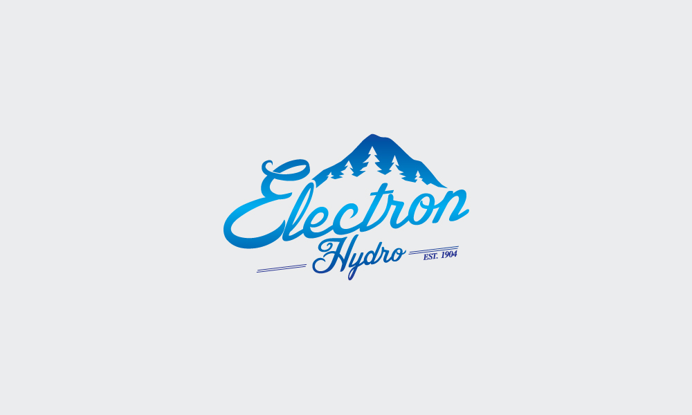 Electron Hydro - Image 1