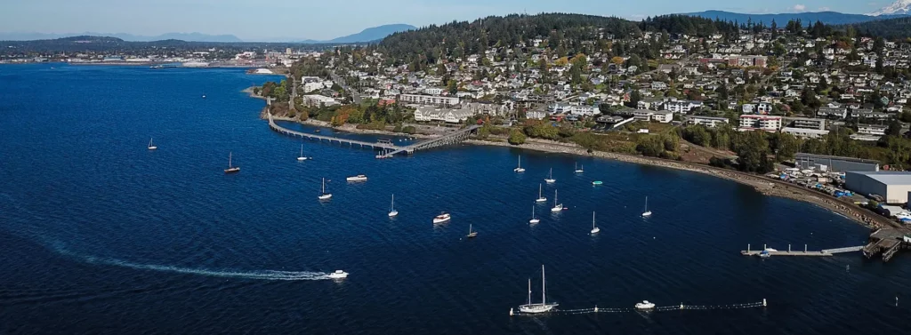 The Importance of Mobile-Friendly Website Design for Local Bellingham Businesses